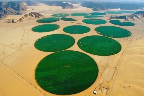 irrigation-caroussel-wadi-rum-jordanie (1)