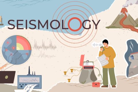 Seismology Flat Collage