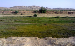 Capture d’écran 2025-10-30 184236