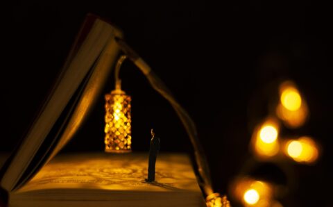 livres-et-imaginaire-nature-morte